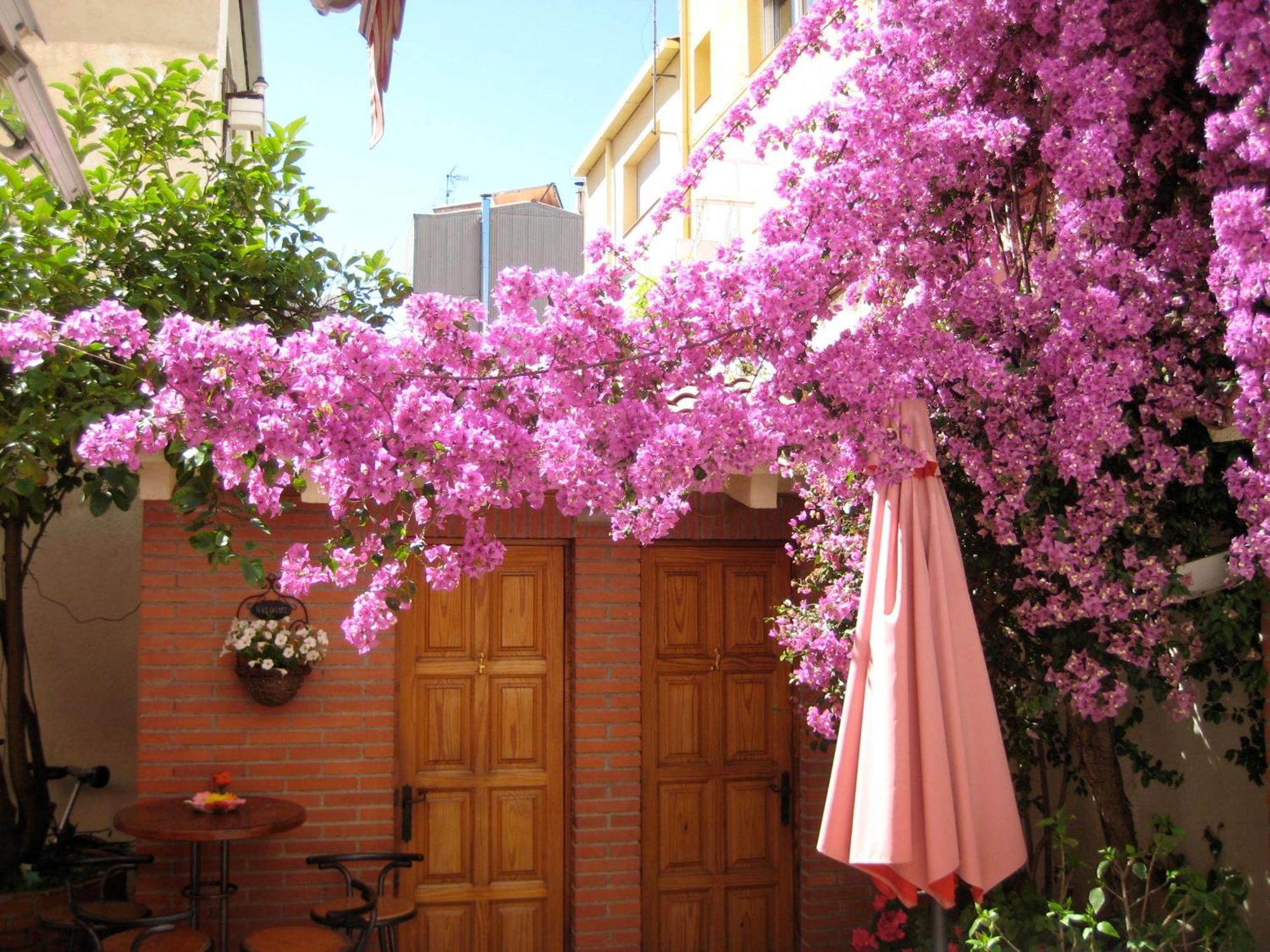 Pension Casa Austria Calella Exterior photo